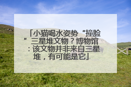 小猫喝水姿势“撞脸”三星堆文物？博物馆：该文物并非来自三星堆，有可能是它