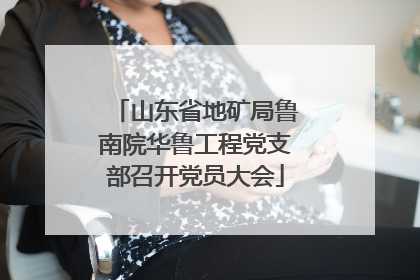 山东省地矿局鲁南院华鲁工程党支部召开党员大会