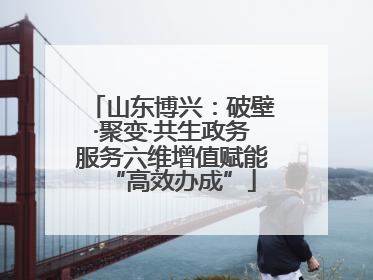 山东博兴：破壁·聚变·共生政务服务六维增值赋能“高效办成”