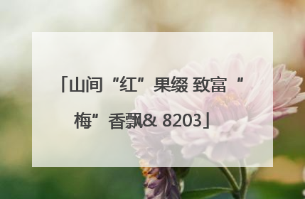 山间“红”果缀 致富“梅”香飘& 8203