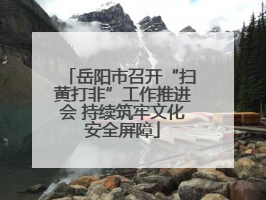 岳阳市召开“扫黄打非”工作推进会 持续筑牢文化安全屏障