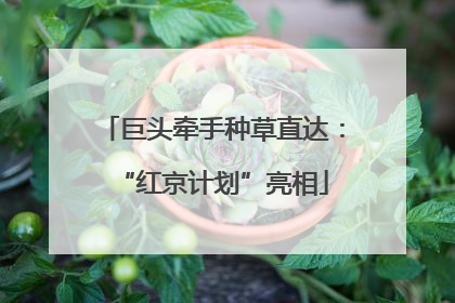 巨头牵手种草直达：“红京计划”亮相
