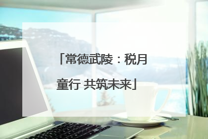 常德武陵：税月童行 共筑未来