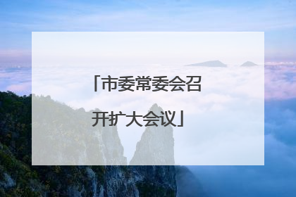 市委常委会召开扩大会议