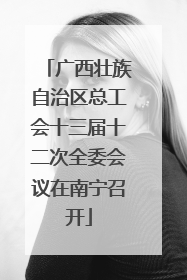 广西壮族自治区总工会十三届十二次全委会议在南宁召开