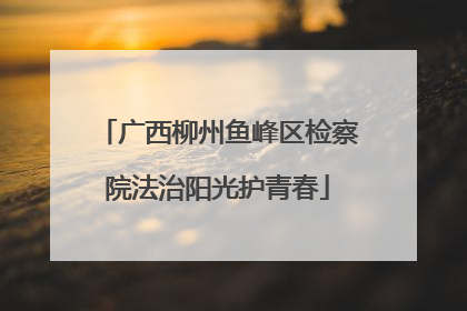 广西柳州鱼峰区检察院法治阳光护青春