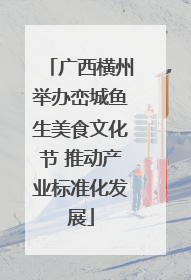 广西横州举办峦城鱼生美食文化节 推动产业标准化发展