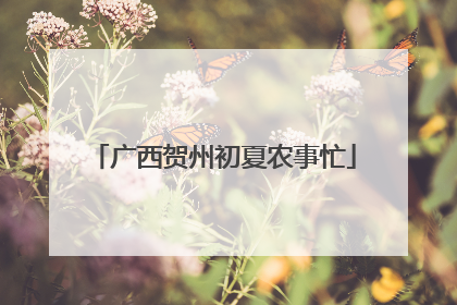 广西贺州初夏农事忙
