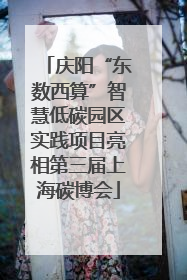 庆阳“东数西算”智慧低碳园区实践项目亮相第三届上海碳博会