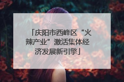 庆阳市西峰区“火辣产业”激活集体经济发展新引擎