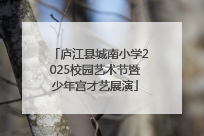 庐江县城南小学2025校园艺术节暨少年宫才艺展演