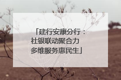 建行安康分行：社银联动聚合力 多维服务惠民生