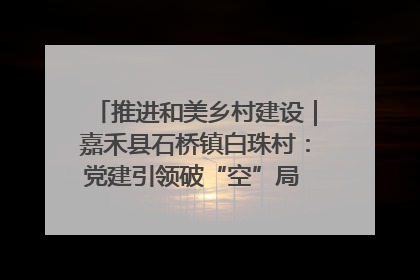 推进和美乡村建设｜嘉禾县石桥镇白珠村：党建引领破“空”局 乡贤聚力绘就新图景