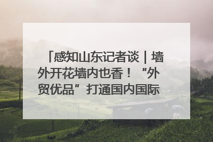 感知山东记者谈｜墙外开花墙内也香！“外贸优品”打通国内国际市场“旋转门”