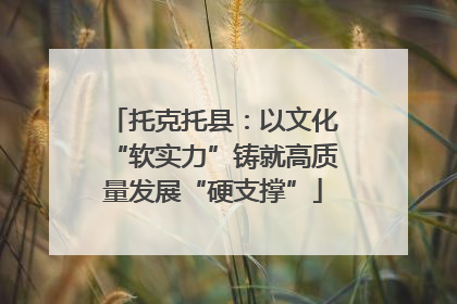 托克托县：以文化“软实力”铸就高质量发展“硬支撑”