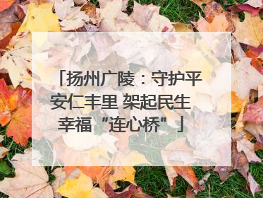 扬州广陵：守护平安仁丰里 架起民生幸福“连心桥”