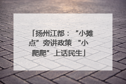 扬州江都：“小摊点”旁讲政策 “小爬爬”上话民生