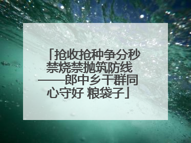 抢收抢种争分秒 禁烧禁抛筑防线——郎中乡干群同心守好 粮袋子