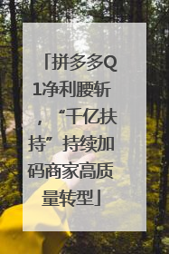 拼多多Q1净利腰斩，“千亿扶持”持续加码商家高质量转型