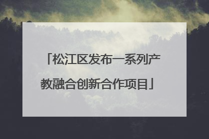松江区发布一系列产教融合创新合作项目