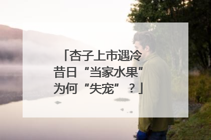 杏子上市遇冷 昔日“当家水果”为何“失宠”？