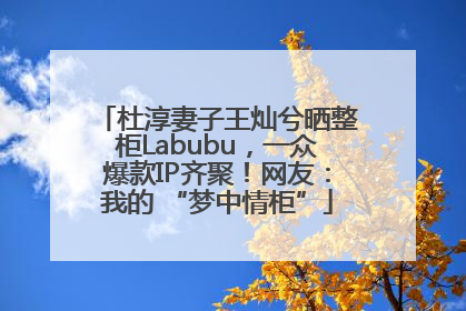 杜淳妻子王灿兮晒整柜Labubu，一众爆款IP齐聚！网友：我的 “梦中情柜”