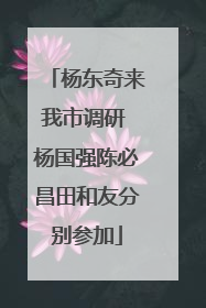 杨东奇来我市调研 杨国强陈必昌田和友分别参加