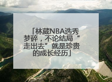 林葳NBA选秀梦碎，不论结局“走出去”就是珍贵的成长经历