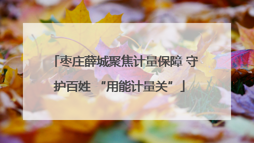 枣庄薛城聚焦计量保障 守护百姓 “用能计量关”