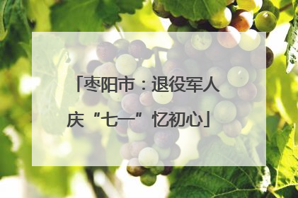 枣阳市：退役军人庆“七一”忆初心