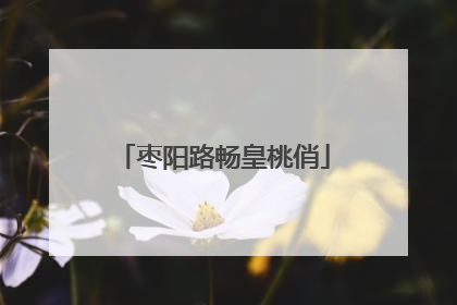 枣阳路畅皇桃俏
