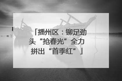 播州区：铆足劲头“抢春光”全力拼出“首季红”