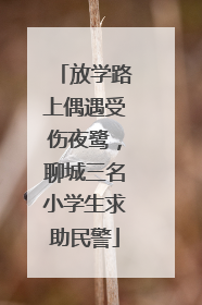 放学路上偶遇受伤夜鹭，聊城三名小学生求助民警