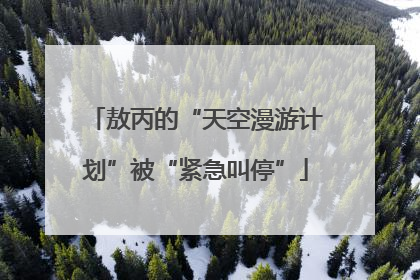 敖丙的“天空漫游计划”被“紧急叫停”
