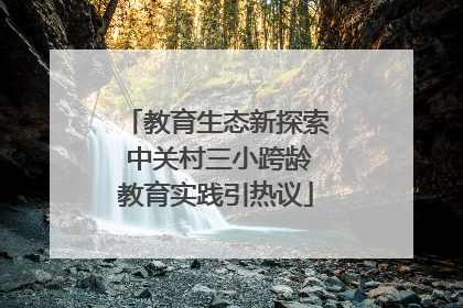 教育生态新探索 中关村三小跨龄教育实践引热议