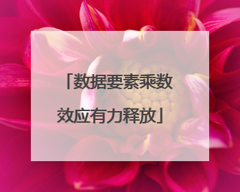 数据要素乘数效应有力释放