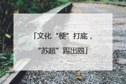 文化“梗”打底，“苏超”踢出圈