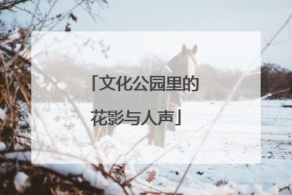 文化公园里的花影与人声