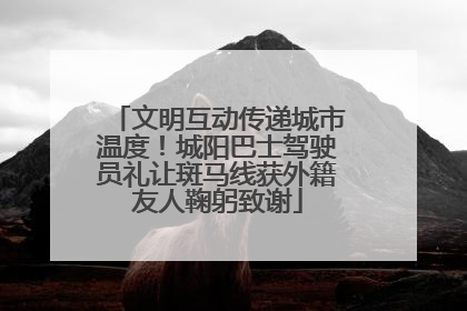文明互动传递城市温度！城阳巴士驾驶员礼让斑马线获外籍友人鞠躬致谢