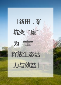 新田：矿坑变“废”为“宝” 释放生态活力与效益