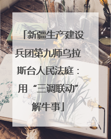 新疆生产建设兵团第九师乌拉斯台人民法庭：用“三调联动”解牛事