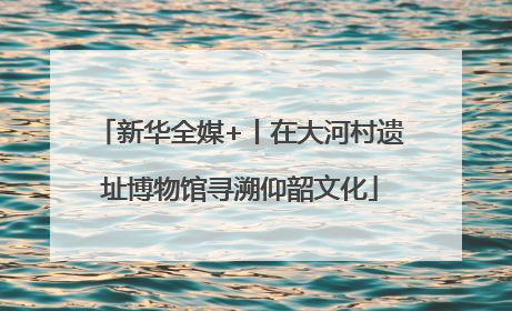 新华全媒+丨在大河村遗址博物馆寻溯仰韶文化