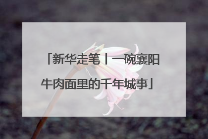 新华走笔丨一碗襄阳牛肉面里的千年城事