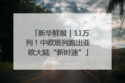 新华鲜报｜11万列！中欧班列跑出亚欧大陆“新时速”