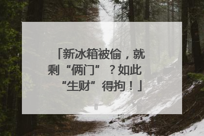 新冰箱被偷，就剩“俩门”？如此“生财”得拘！