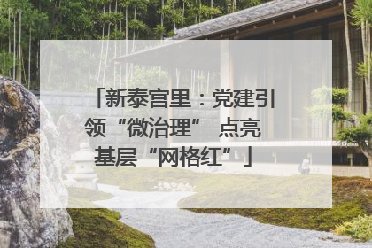 新泰宫里：党建引领“微治理” 点亮基层“网格红”