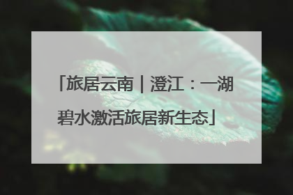 旅居云南｜澄江：一湖碧水激活旅居新生态