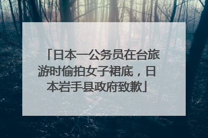 日本一公务员在台旅游时偷拍女子裙底，日本岩手县政府致歉