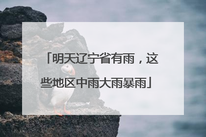 明天辽宁省有雨，这些地区中雨大雨暴雨