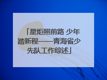 星炬照前路 少年踏新程——青海省少先队工作综述